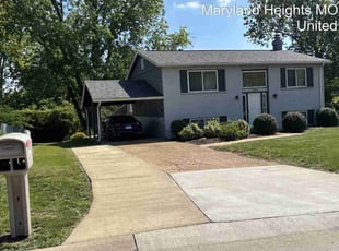 Dena W.'s lawn care services service result