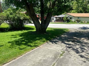 Catherine S.'s lawn care services service result