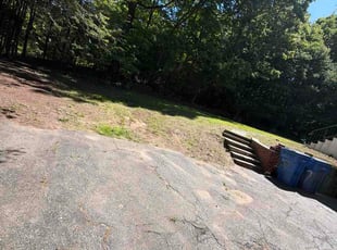 Nora R.'s Leaf Removal service result