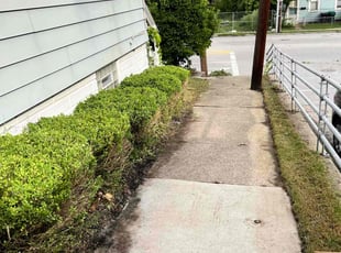 Tracy P.'s Bush Trimming service result
