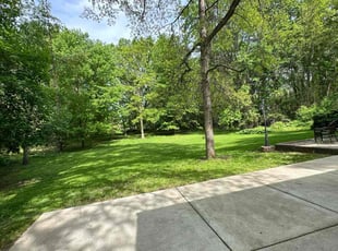 Rashida P.'s lawn care service result