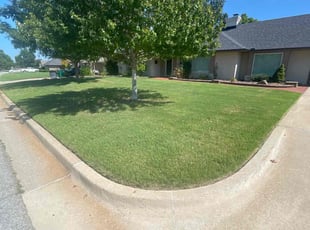 Kenneth U.'s lawn care service result