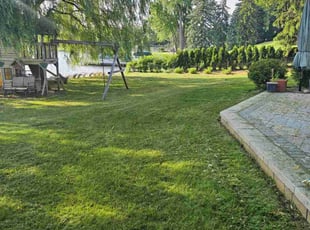 Lindsay F.'s turf maintenance service result