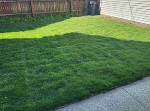 Deborah B.'s turf care service result