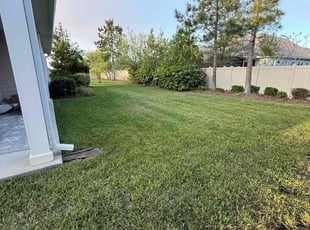 Mark F.'s lawn care services service result