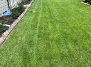 Joan W.'s grass cutting service result