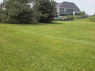 Laveta J.'s grass maintenance service result