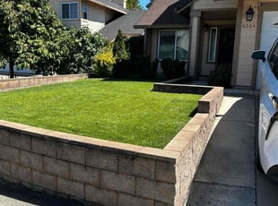 Chad D.'s turf maintenance service result