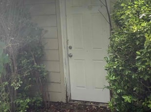 Derrick C.'s Bush Trimming service result