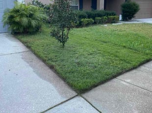 Julie S.'s lawn service service result