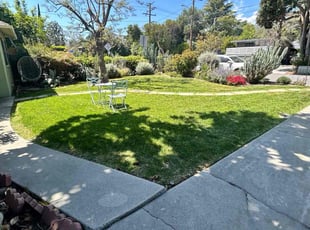 Michael M.'s lawn maintenance service result