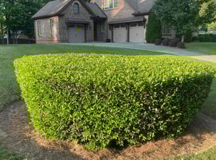 Sanford C.'s Landscaping service result