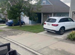 Shauntenette T.'s grass maintenance service result