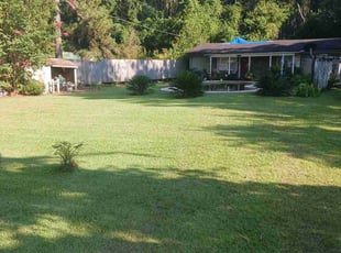 Raul N.'s lawn care services service result