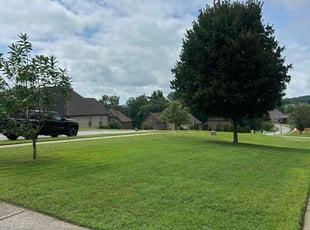 Jessica D.'s grass cutting service result