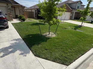 Chrysal J.'s lawn care services service result