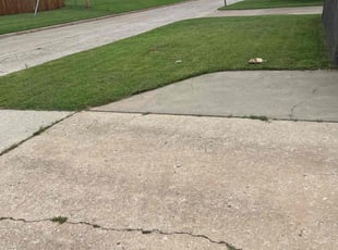 Amina S.'s turf maintenance service result