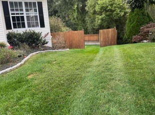 Cody S.'s turf maintenance service result