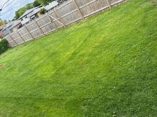 Moises V.'s turf care service result