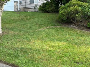 Renee B.'s lawn care services service result