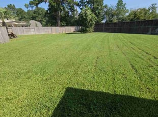 James P.'s turf maintenance service result