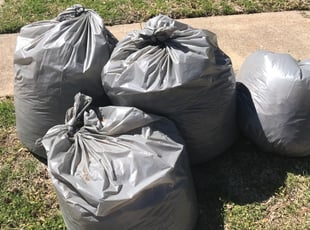 Susan O.'s Leaf Removal service result