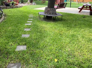 Tamia W.'s lawn service service result
