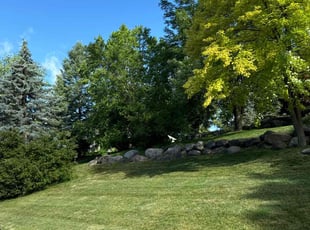 Ryan R.'s turf care service result