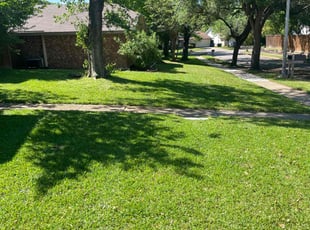 Marisa E.'s lawn care services service result