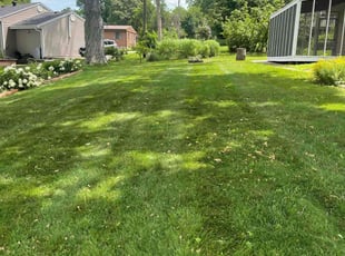 Christopher W.'s grass cutting service result