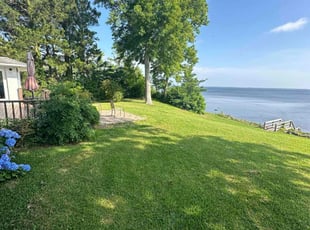 Debra P.'s Bush Trimming service result