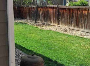 Paul P.'s lawn care service result