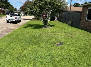 Tom B.'s grass cutting service result