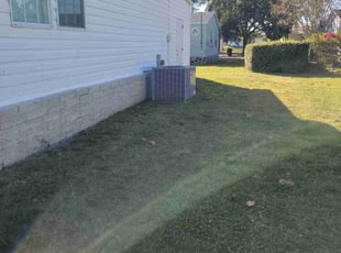 Rachel E.'s lawn care service result