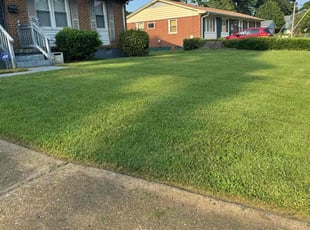 Julian H.'s lawn care services service result