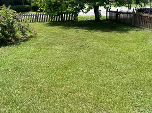 Neal D.'s turf maintenance service result