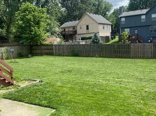 Dan H.'s turf maintenance service result