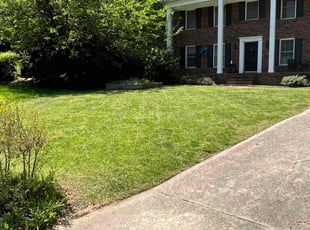 Candace B.'s grass cutting service result