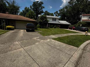 Kora A.'s lawn service service result