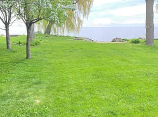 Stephen J.'s turf maintenance service result