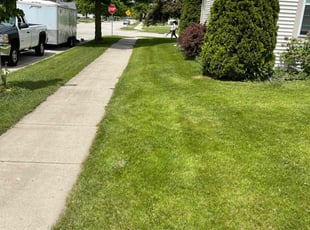 Shaun H.'s lawn maintenance service result