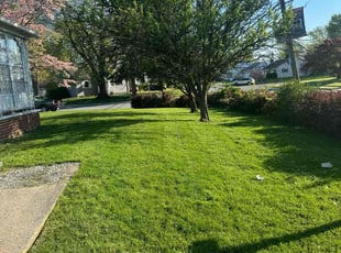 Jeramia D.'s lawn care services service result