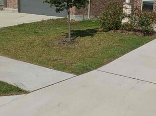 Thomas P.'s lawn service service result