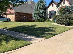 Laurie R.'s grass maintenance service result