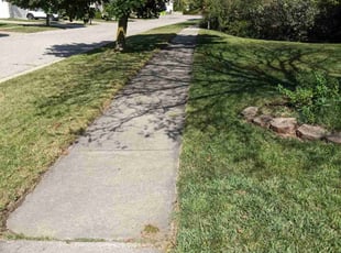 James C.'s grass cutting service result