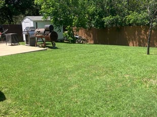 Angela P.'s lawn care services service result