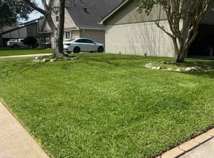 Roger P.'s lawn maintenance service result