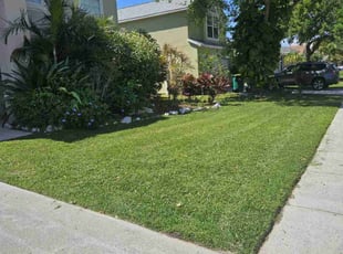 Barbara J.'s residential landscaping service result