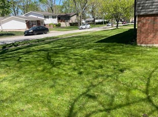 Stephanie S.'s yard work service result