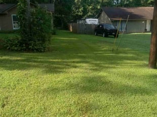 Alina W.'s grass maintenance service result